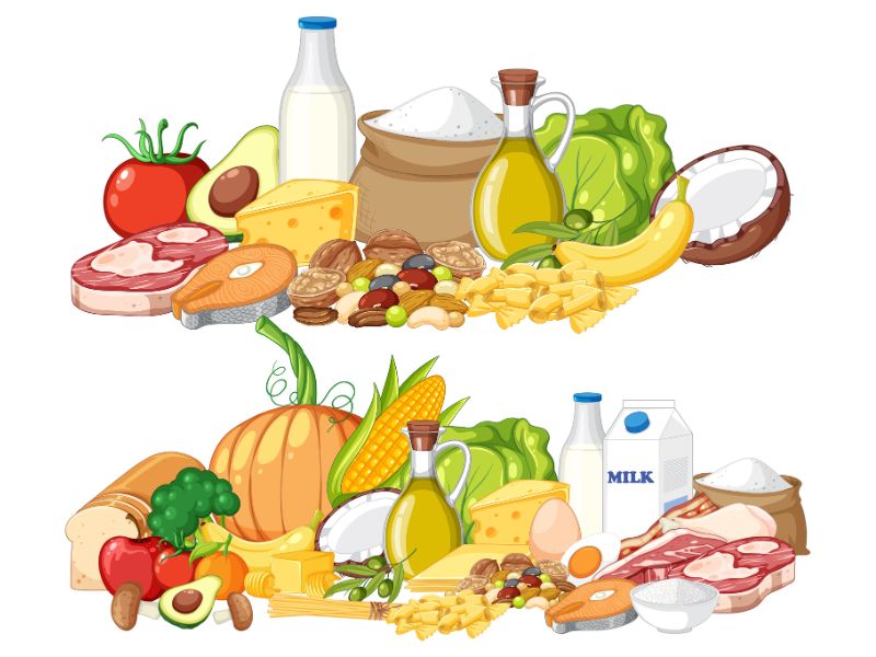 alimentacao-saudavel-pratos-coloridos-vegetais-frutas-graos-integrais